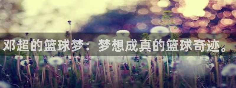 邓超的篮球梦：梦想成真的篮球奇迹。