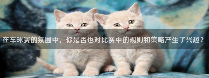 在车球赛的氛围中，你是否也对比赛中的