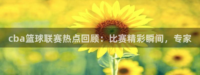 b体育sports：cba篮球联赛热点回顾：比赛精彩瞬间，专