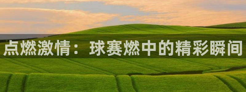  b0b体育网页版登录：点燃激情：球赛燃中的精彩瞬间