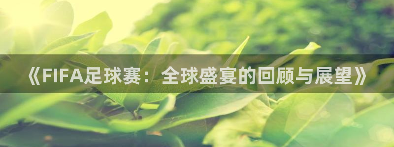  b体育下载：《FIFA足球赛：全球盛宴的回顾与展望》