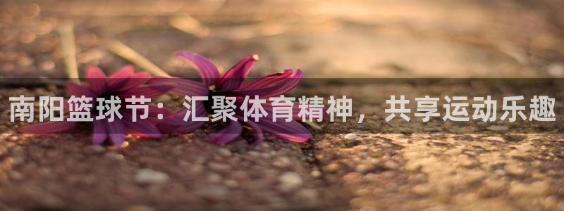 b体育官网最新下载：南阳篮球节：汇聚体育精神，共享运动乐趣