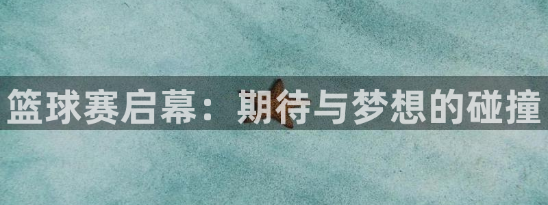  b体育官网手机下载：篮球赛启幕：期待与梦想的碰撞