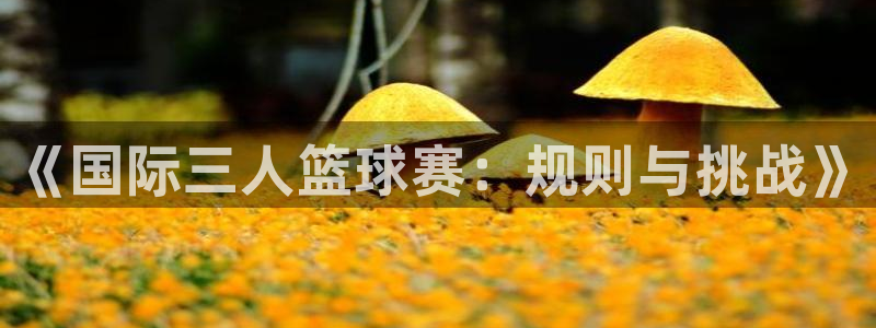  b体育bsport：《国际三人篮球赛：规则与挑战》