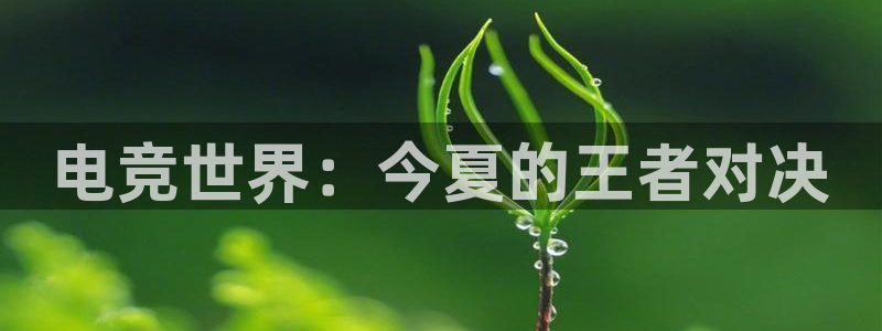 b0b体育app下载ios：电竞世界：今夏的王者对决
