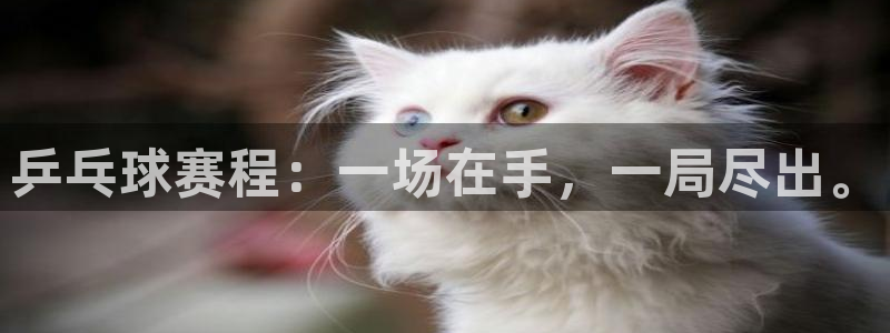  B体育官网官方：乒乓球赛程：一场在手，一局尽出。