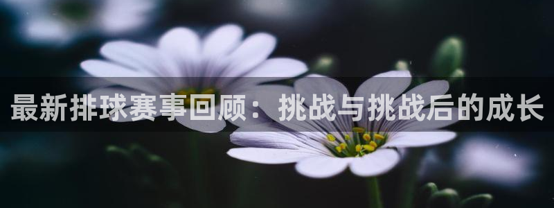 b体育官网安全吗：最新排球赛事回顾：挑战与挑战后的成长