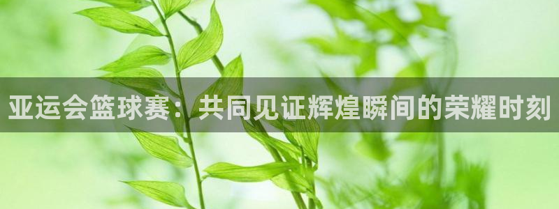 b体育官方体育app下载：亚运会篮球赛：共同见证辉煌瞬间的荣