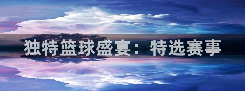 B0B体育app下载：独特篮球盛宴：特选赛事