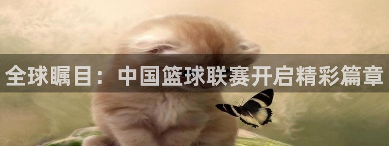 b体育苹果下载：全球瞩目：中国篮球联赛开启精彩篇章