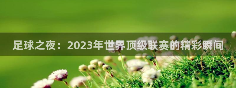  b0b体育平台：足球之夜：2023年世界顶级联赛的精彩瞬间
