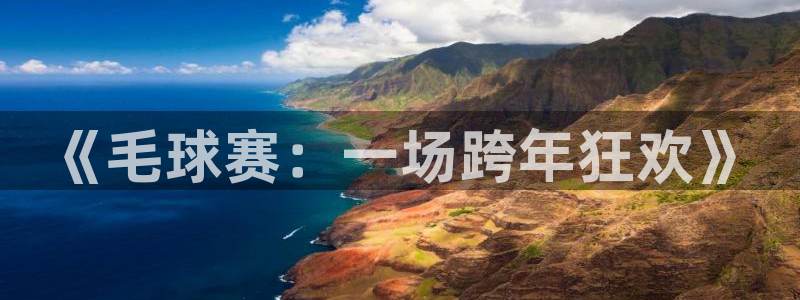 b体育bsport：《毛球赛：一场跨年狂欢》