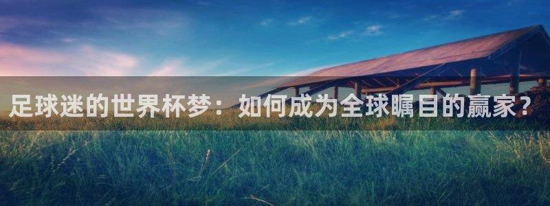  b体育官网入口登录：足球迷的世界杯梦：如何成为全球瞩目的赢家